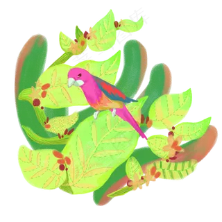 春天绿色植物花鸟绿意鹦鹉缤纷PNG,免抠元素