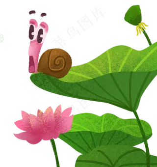 蜗牛在荷叶上