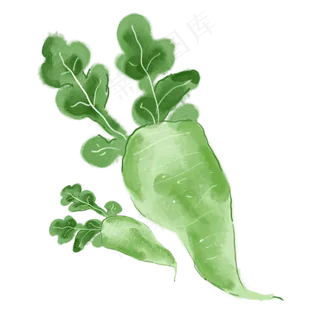 水彩蔬菜水果绿色萝卜