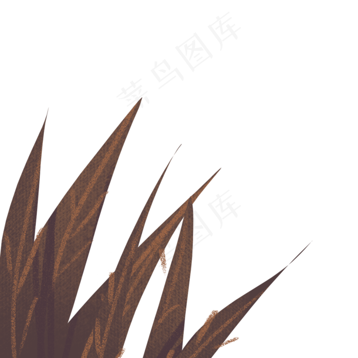 卡通植物叶子下载