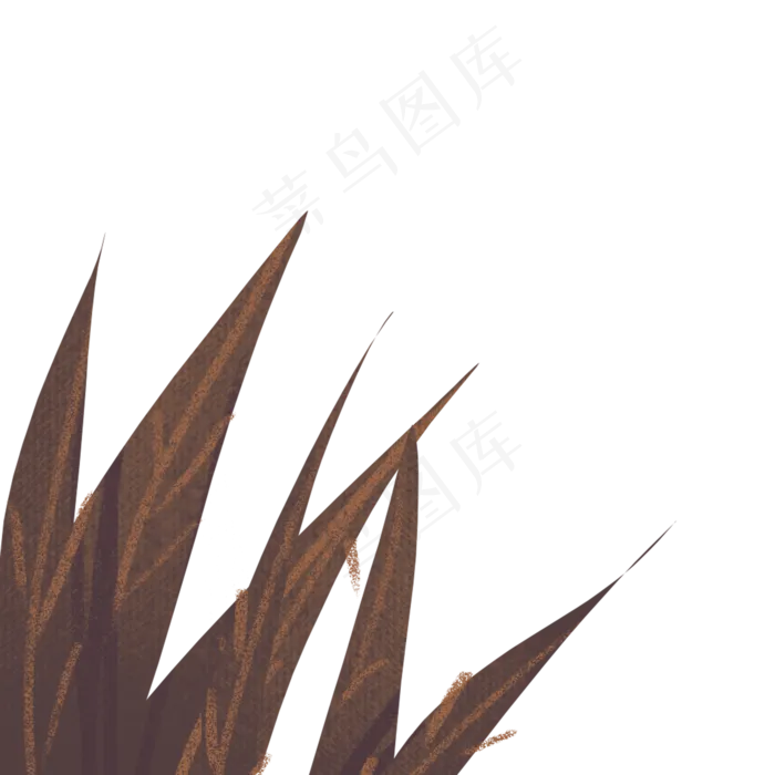 卡通植物叶子下载(2000X2000(DPI:300))psd模版下载