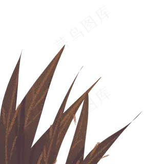 卡通植物叶子下载