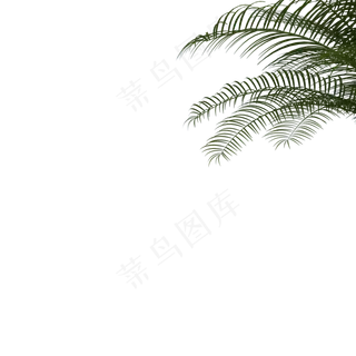 绿色植物叶子 绿色植物叶子