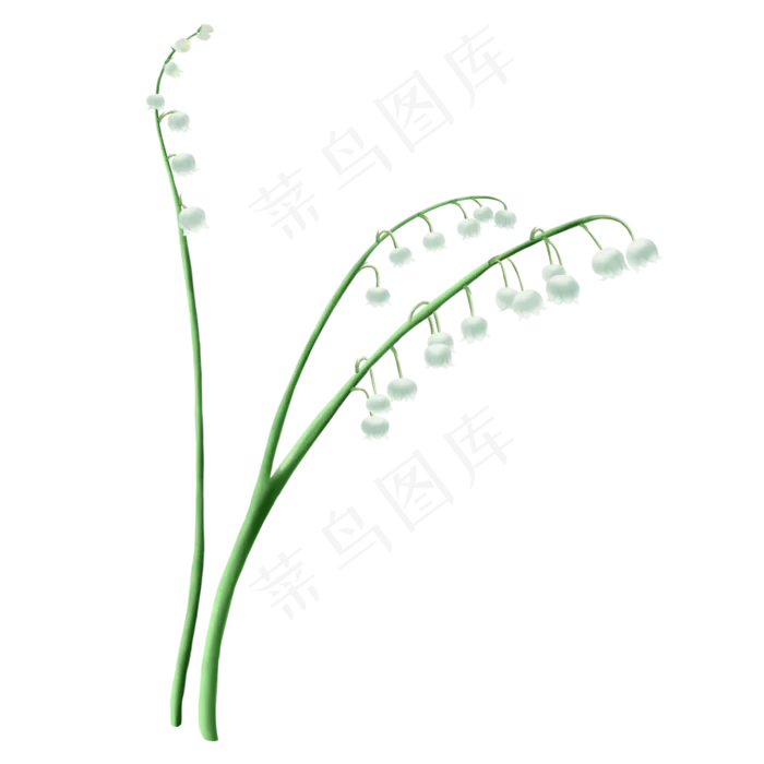 春天铃兰绿色植物花卉免抠素材(2000X2000(DPI:300))psd模版下载