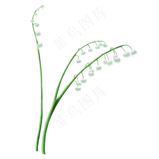 春天铃兰绿色植物花卉免抠素材