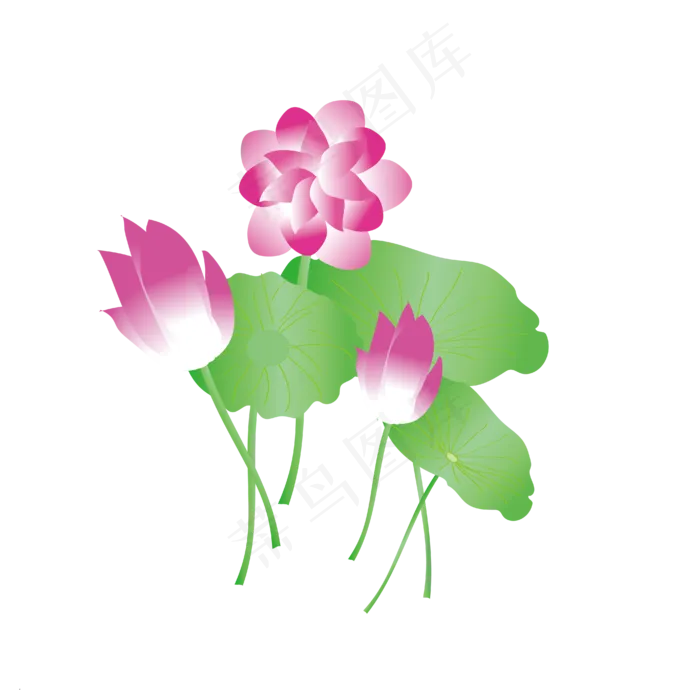 矢量手绘粉色荷花(3545X5315(DPI:72))ai矢量模版下载