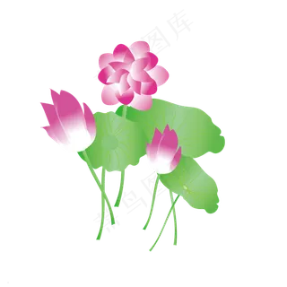 矢量手绘粉色荷花