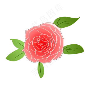 淡粉色精美玫瑰花