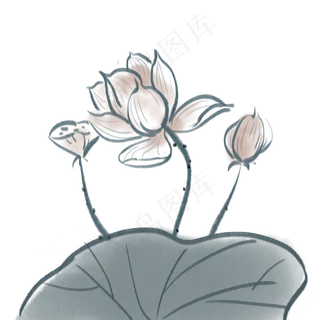中国风水墨荷花