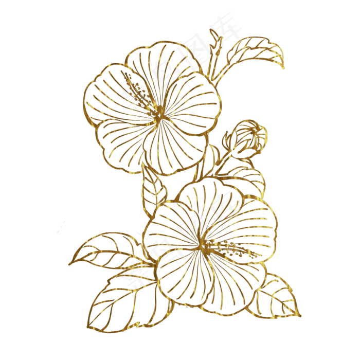 金色花扶桑(2000X2000(DPI:300))psd模版下载