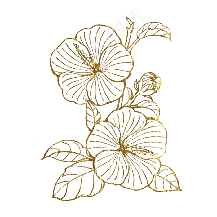 金色花扶桑(2000X2000(DPI:300))psd模版下载