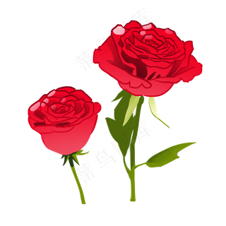 情人节玫瑰花花枝