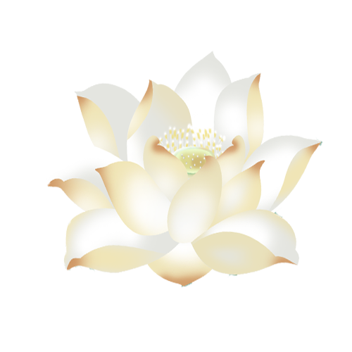 手绘卡通荷花免扣元素(500X500(DPI:300))psd模版下载