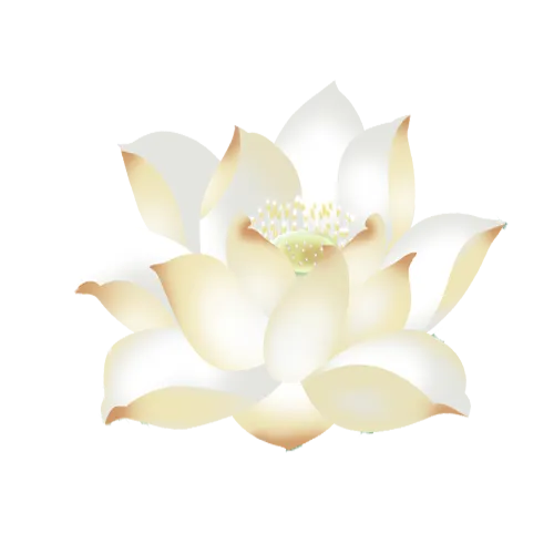 手绘卡通荷花免扣元素(500X500(DPI:300))psd模版下载