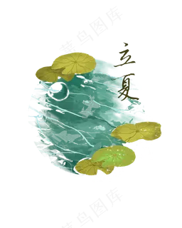 节气立夏荷花夏日荷叶凉爽溪水P