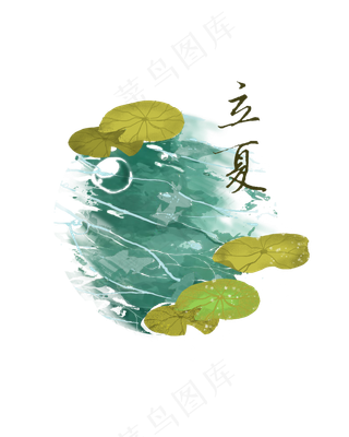 节气立夏荷花夏日荷叶凉爽溪水P