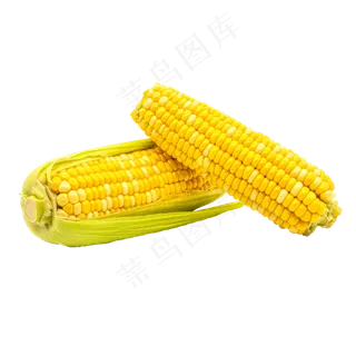 黄玉米玉米棒,免抠元素