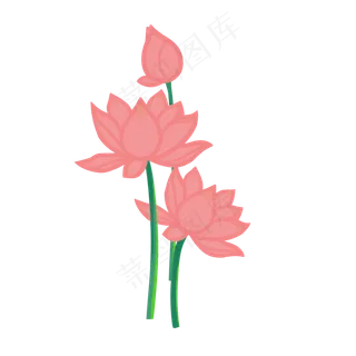 扁平夏季植物荷花装饰图案PNG