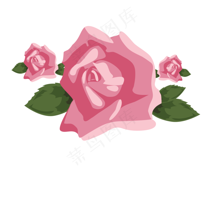 红色新鲜的玫瑰花免抠图