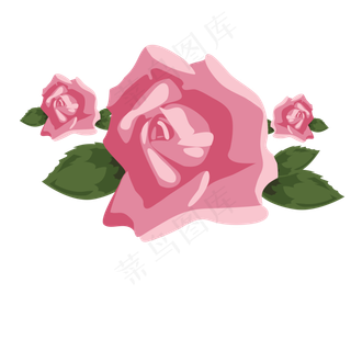 红色新鲜的玫瑰花免抠图