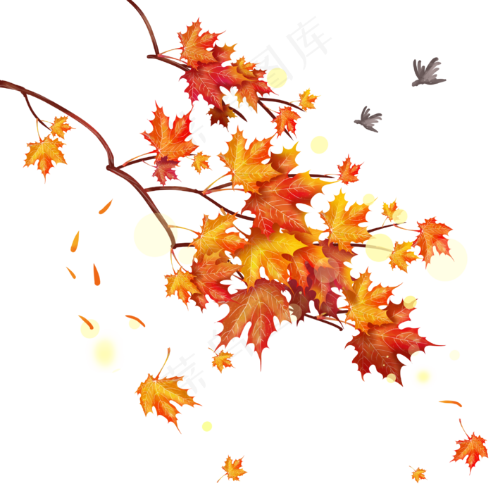 秋季仿真枫叶树枝,免抠元素