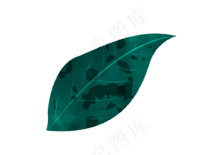 绿色叶子主题边框