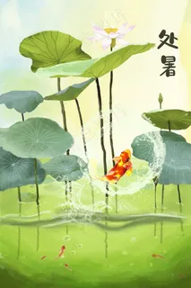 处暑的荷塘和鱼儿们