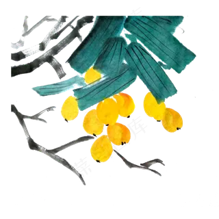 国画黄金枇杷水果甜美夏日PNG