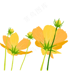 春天黄色花朵下载