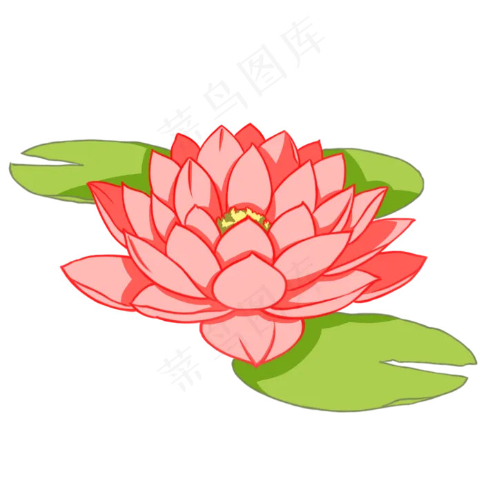 唯美粉色荷花插图(4000X4000(DPI:300))psd模版下载