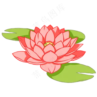 唯美粉色荷花插图