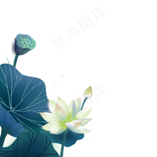 绿色的荷花和荷叶