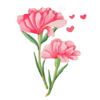康乃馨母亲节花朵 康乃馨母亲节花朵
