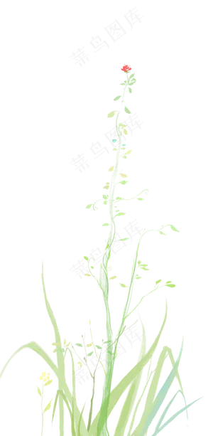 水彩风格花朵藤蔓灌木杂草