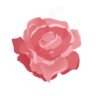 芙蓉花装饰设计矢量