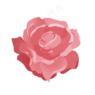 芙蓉花装饰设计矢量