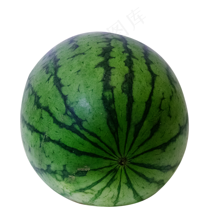 西瓜背面