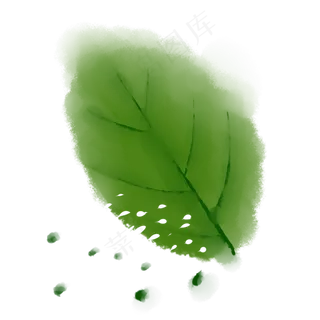 绿色植物叶子手绘水彩风透明底免