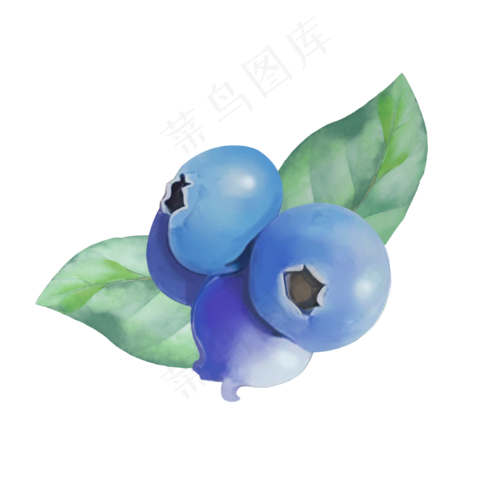 卡通水果蓝莓插画