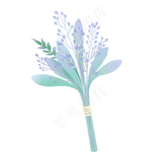 小清新植物手绘香青花束,免抠元素