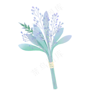 小清新植物手绘香青花束,免抠元素 小清新植物手绘香青花束,免抠元素