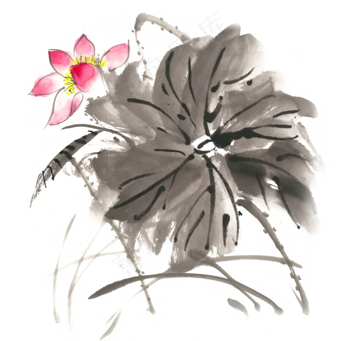 鲜艳荷花水墨画PNG免抠素材(3545X5315(DPI:300))psd模版下载