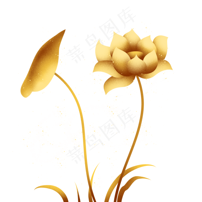 金色荷花插画