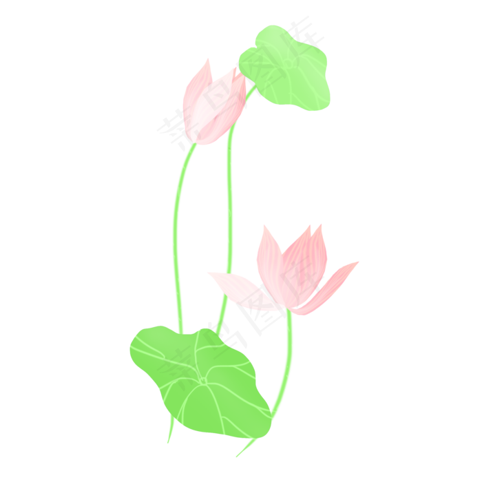 春夏荷花png素材(2000X2000(DPI:300))psd模版下载