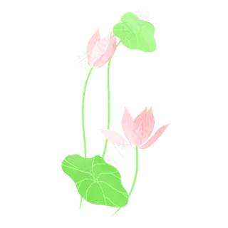 春夏荷花png素材