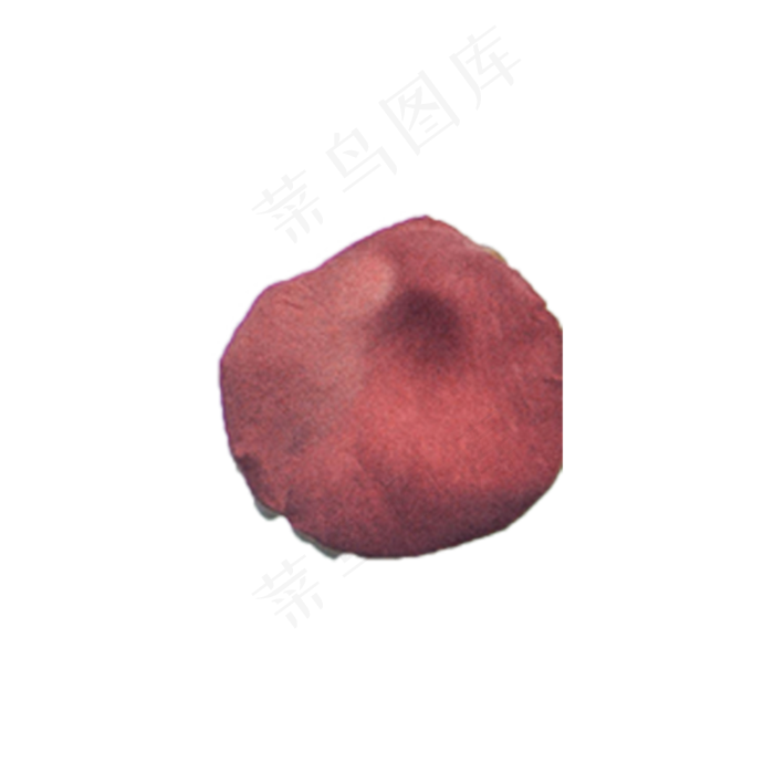 粉玫瑰花瓣实物（png免抠）