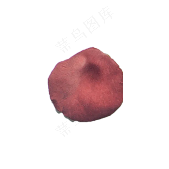 粉玫瑰花瓣实物（png免抠）(2000X2000(DPI:72))psd模版下载