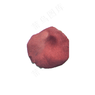 粉玫瑰花瓣实物（png免抠）