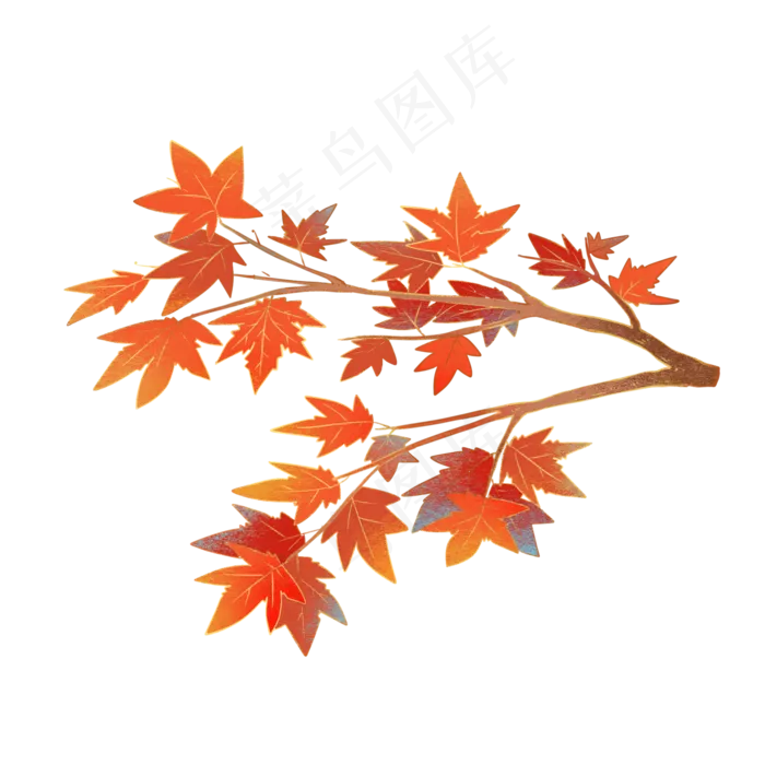 立秋秋分国潮风枫叶枫树(3543X4724(DPI:150))psd模版下载