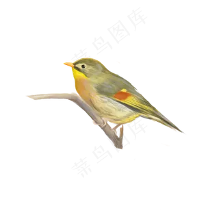 古典中国风花鸟麻雀矢量图,免抠元素